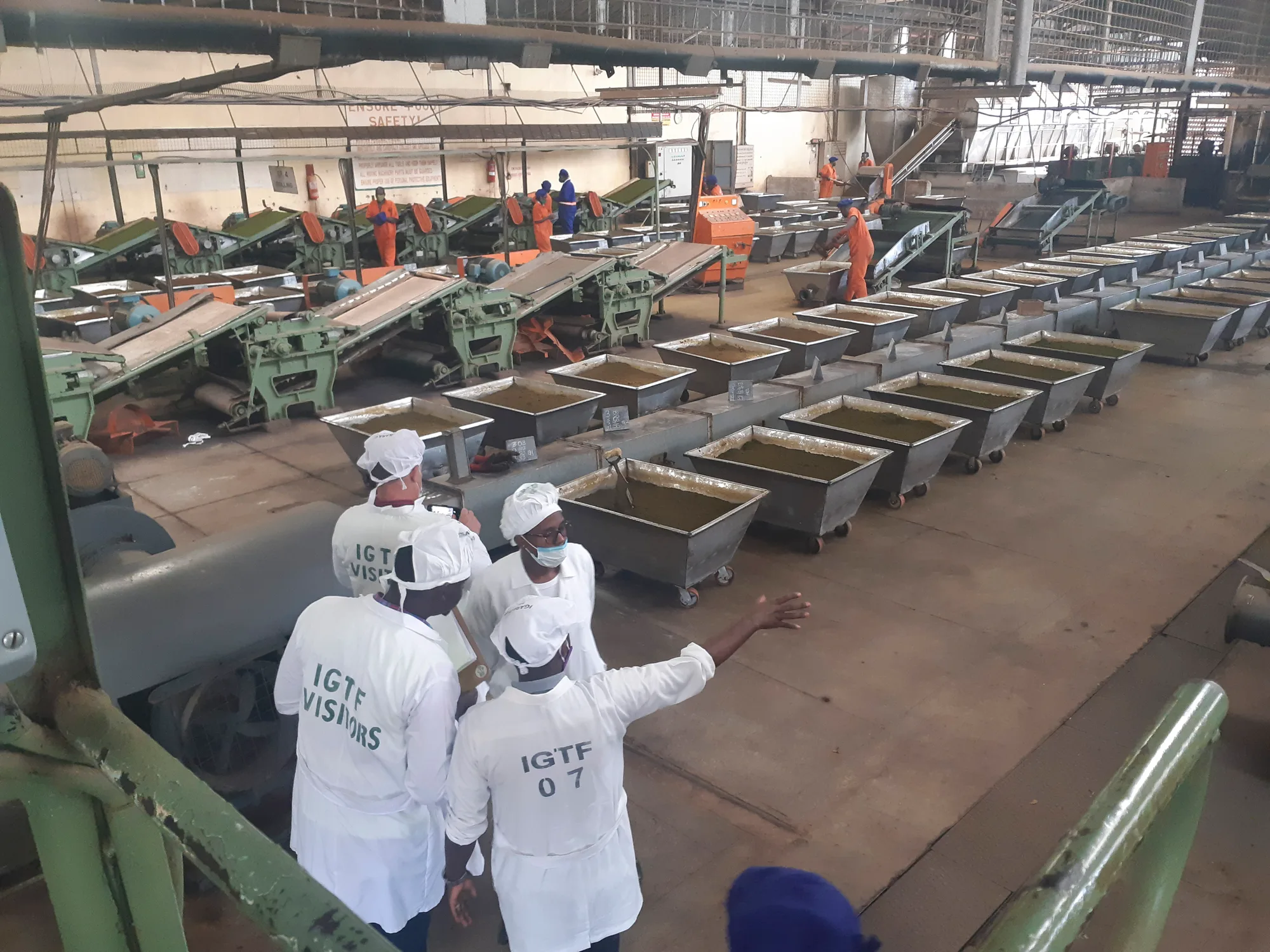 Tea Factories IDPP